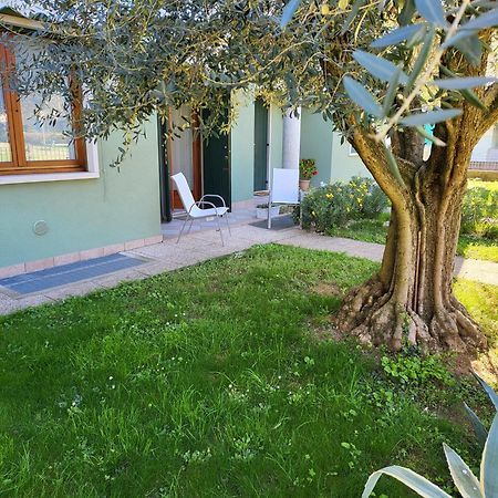 La Casa Sul Parco Apartment Valeggio sul Mincio Bagian luar foto